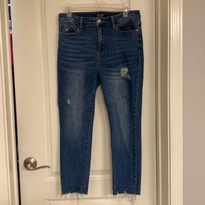 Judy Blue Skinny Jeans